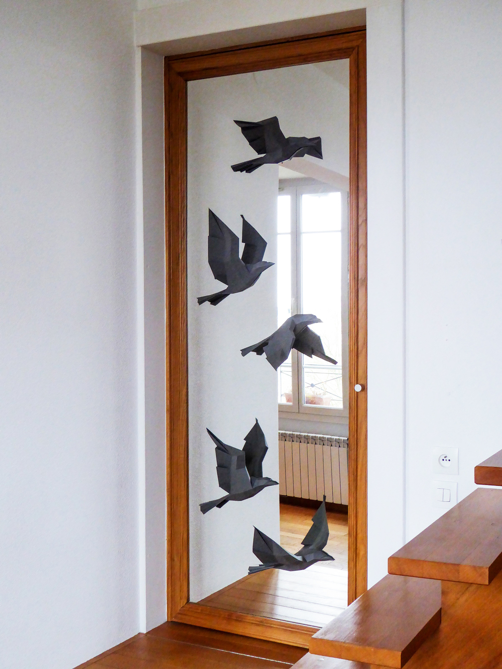 mirror birds